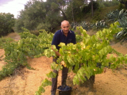 Philippe
